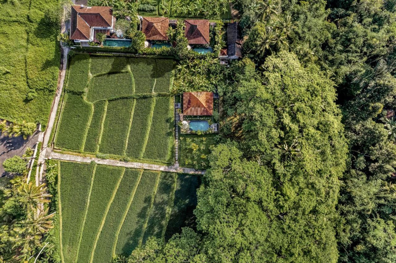 Ratni Ubud Villa エクステリア 写真